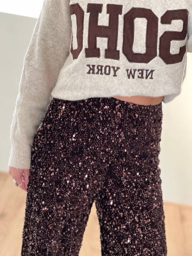 Pantalon sequin bruin 15826